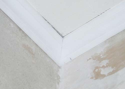 Как резать углы плинтуса на полу без стусла. Как потолочный плинтус в углах резать без стусла с первого раза