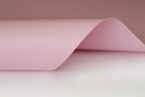 Современные натяжные потолки. Натяжные потолки: 85 красивых идей дизайна (фото)