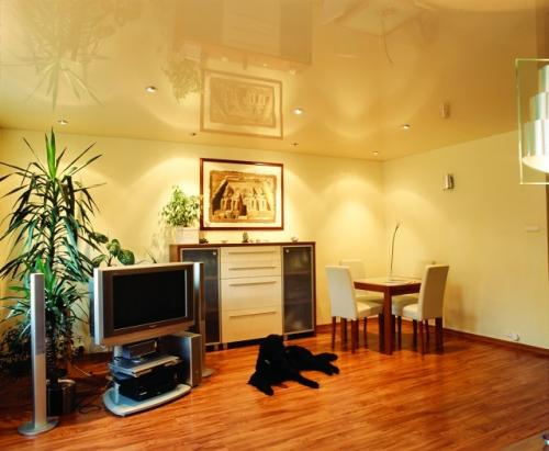 Какие лучше сделать потолки в квартире. Все варианты отделки потолка: советы, какой потолок лучше сделать в квартире или частном доме, сравнение плюсов и минусов покрытий 19 Какие лучше сделать потолки в квартире. Все варианты отделки потолка: советы, какой потолок лучше сделать в квартире или частном доме, сравнение плюсов и минусов покрытий 19