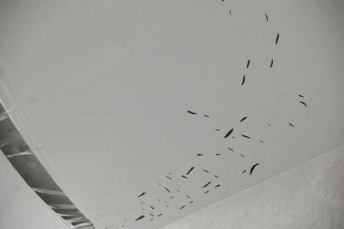 Установка натяжных потолков своими руками. Виды натяжных потолков, их особенности и сфера применения