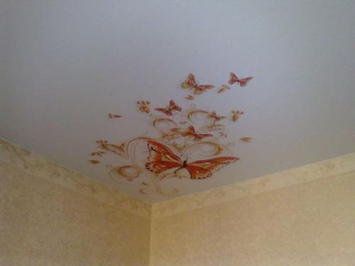 Лучшие матовые натяжные потолки. Матовые натяжные потолки – покупать или отказаться?