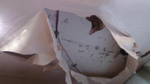 Как задекорировать дырку в натяжном потолке. Удаление воды из натяжного потолка